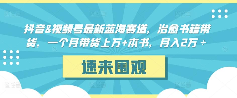 抖音&视频号最新蓝海赛道，治愈书籍带货，一个月带货上万+本书，月入2万＋【揭秘】-汉兴项目网创资源网