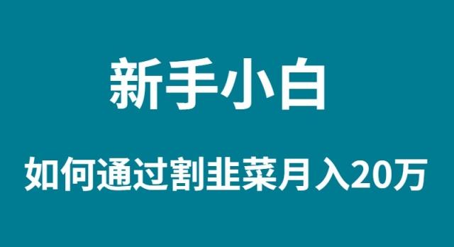 (9308期)新手小白如何通过割韭菜月入 20W-汉兴项目网创资源网