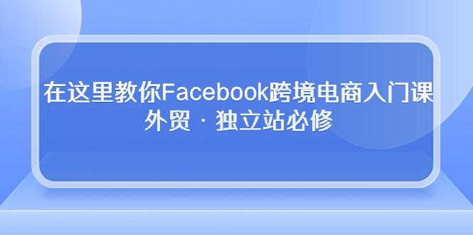 在这里教你Facebook跨境电商入门课，外贸·独立站必修-汉兴项目网创资源网