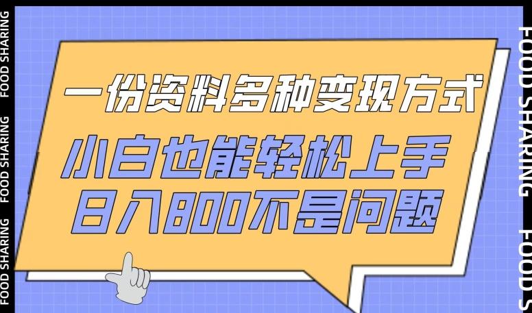 一份资料多种变现方式，小白也能轻松上手，日入800不是问题【揭秘】-汉兴项目网创资源网