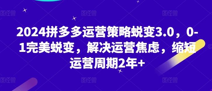 2024拼多多运营策略蜕变3.0，0-1完美蜕变，解决运营焦虑，缩短运营周期2年+-汉兴项目网创资源网