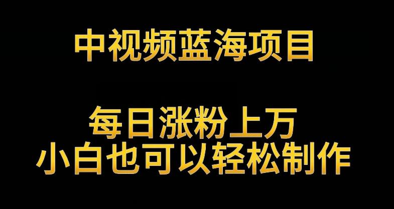 中视频蓝海项目，解读英雄人物生平，每日涨粉上万，小白也可以轻松制作，月入过万不是梦【揭秘】-汉兴项目网创资源网