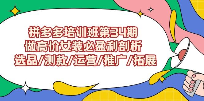 (9333期)拼多多培训班第34期：做高价女装必盈利剖析  选品/测款/运营/推广/拓展-汉兴项目网创资源网