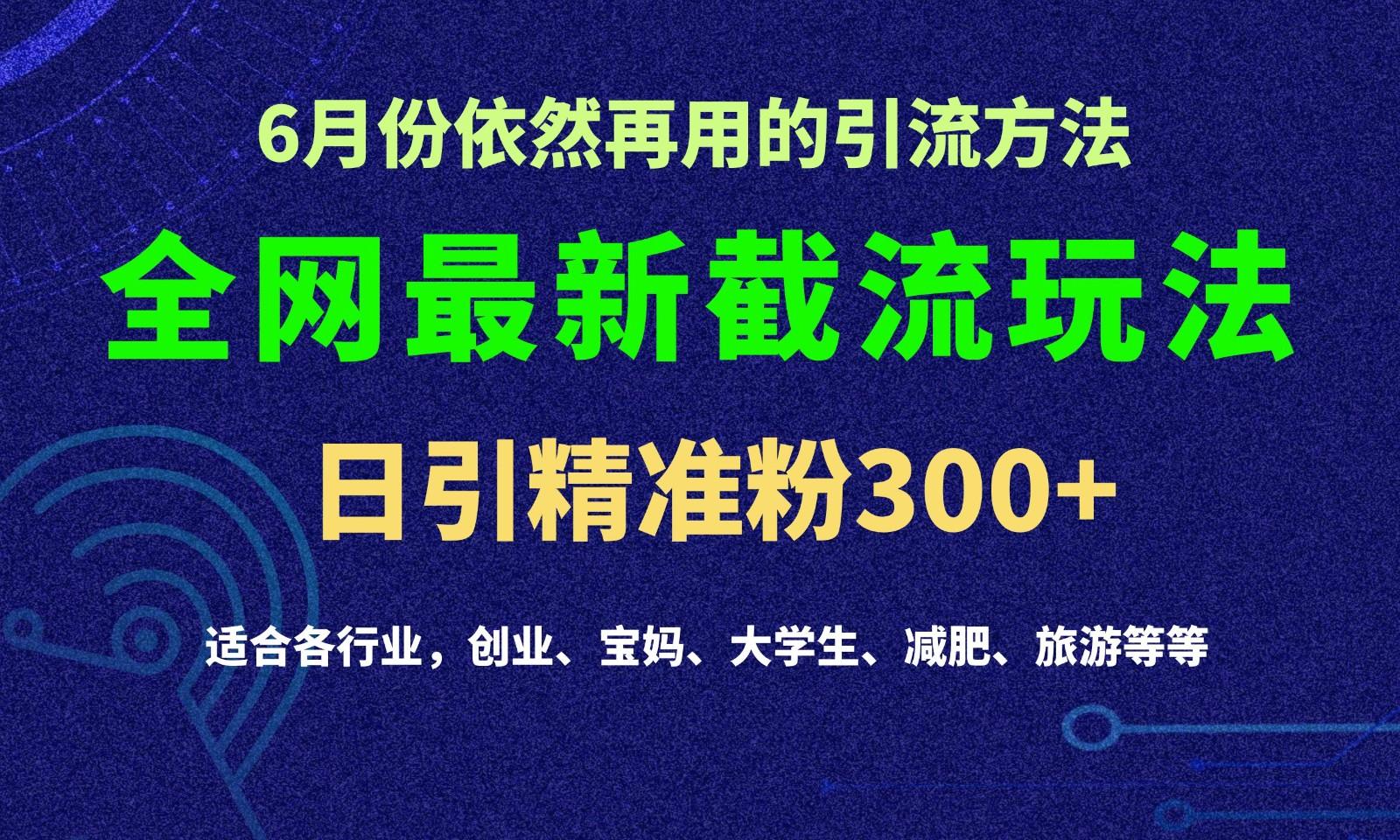 2024全网最新截留玩法，每日引流突破300+-汉兴项目网创资源网