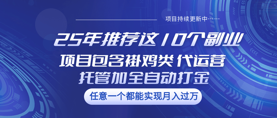 25年推荐这10个副业 项目包含褂鸡类、代运营托管类、全自动打金类-汉兴项目网创资源网