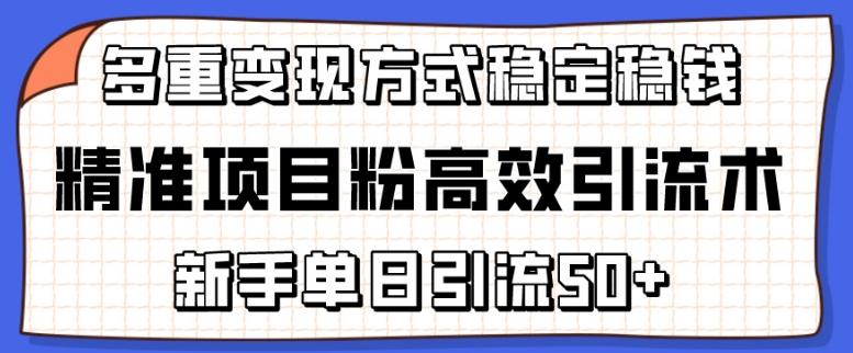 精准项目粉高效引流术，新手单日引流50+，多重变现方式稳定赚钱【揭秘】-汉兴项目网创资源网