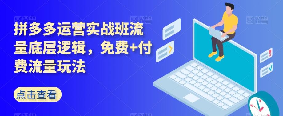 拼多多运营实战班流量底层逻辑，免费+付费流量玩法-汉兴项目网创资源网