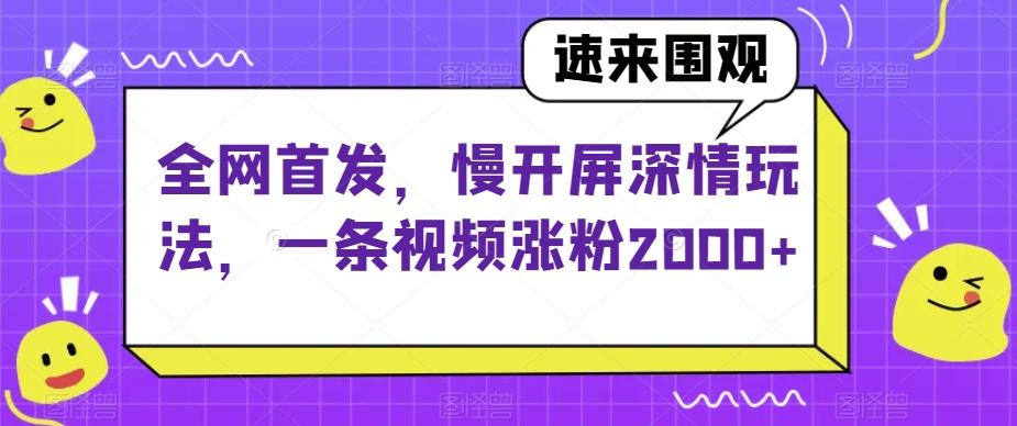 全网首发，慢开屏深情玩法，一条视频涨粉2000+【揭秘】-汉兴项目网创资源网