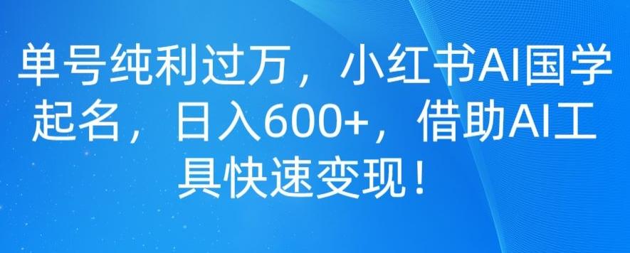 单号纯利过万，小红书AI国学起名，日入600+，借助AI工具快速变现-汉兴项目网创资源网