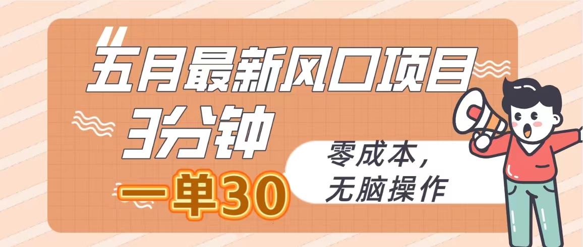 五月最新风口项目，3分钟一单30，零成本，无脑操作-汉兴项目网创资源网